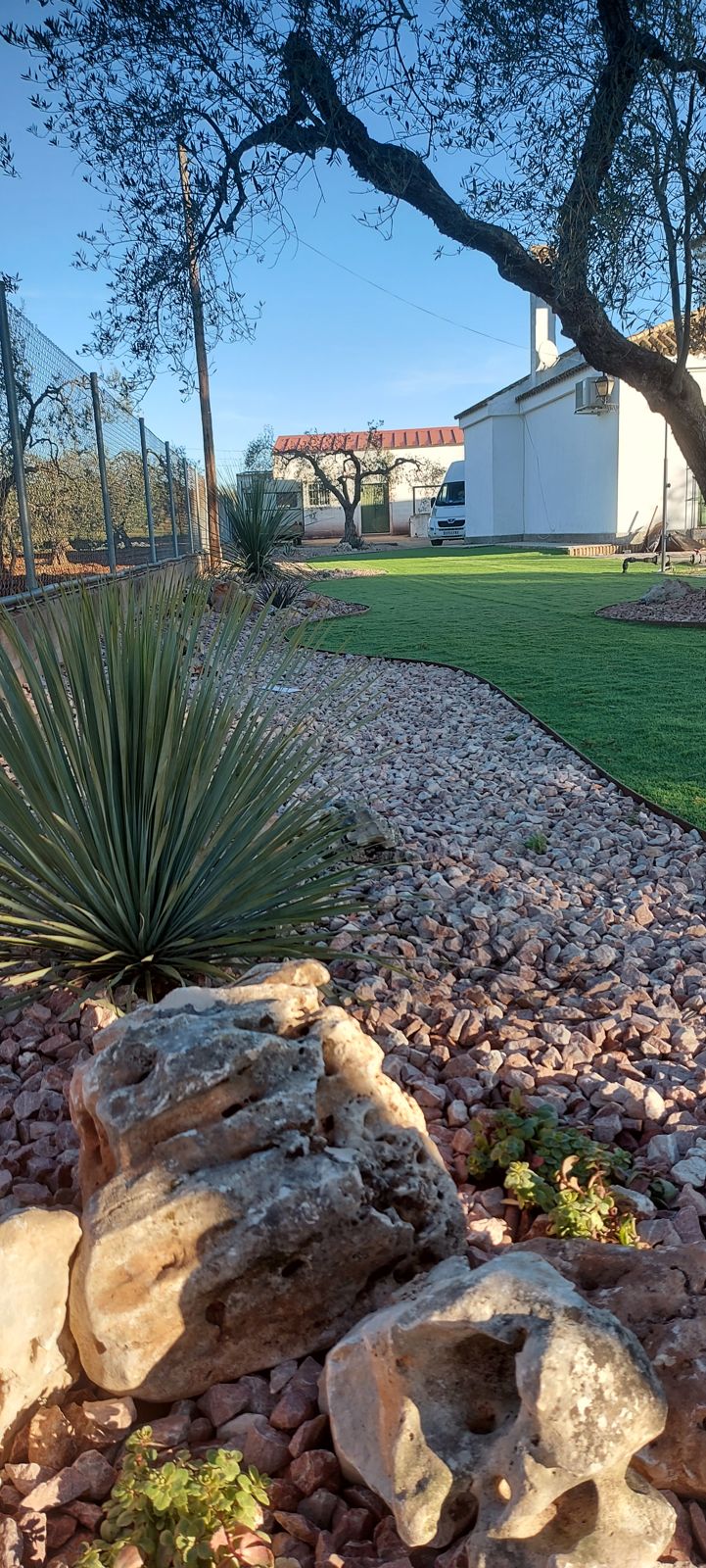 Jardín xerófilo entre olivos en Sanlúcar la Mayor