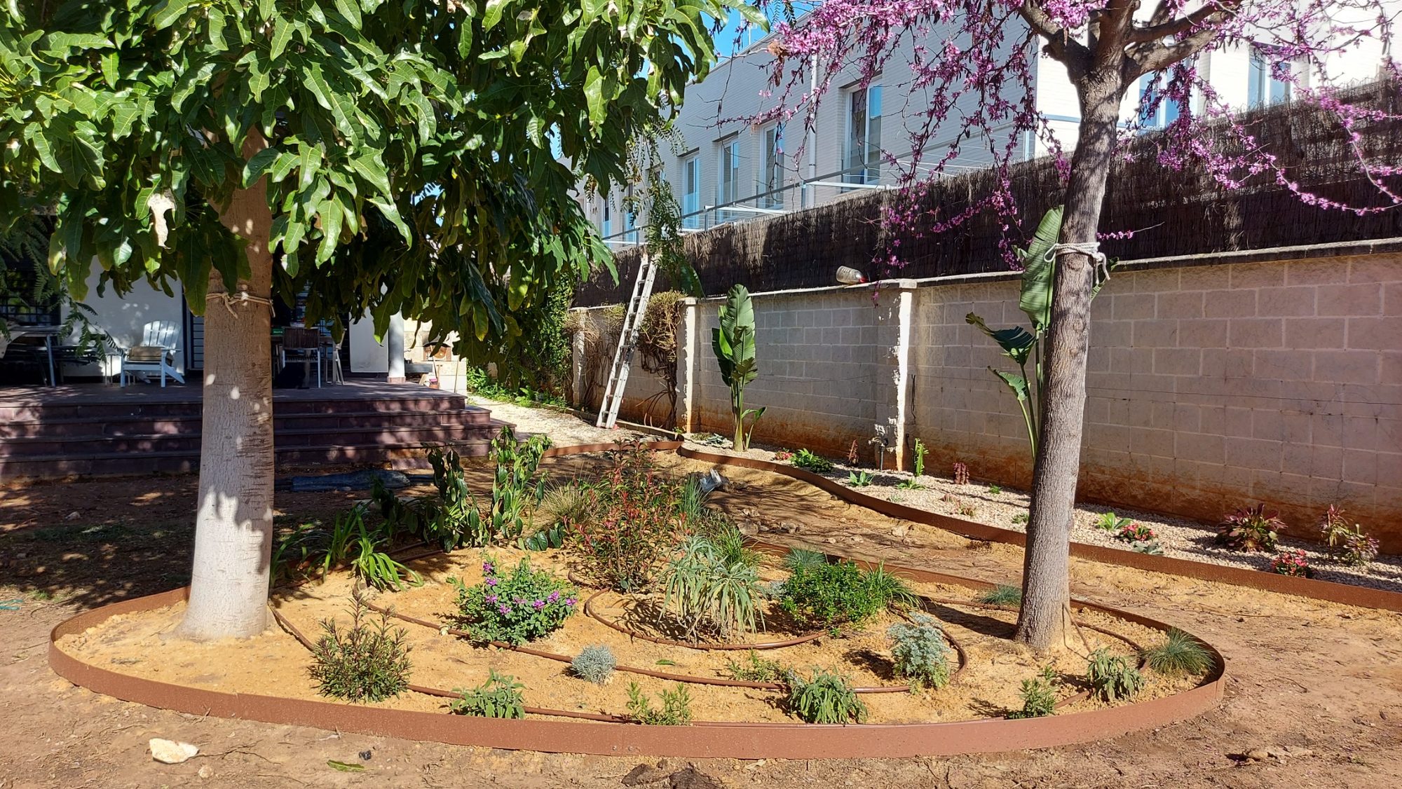 Renovar un jardín consolidado en Dos Hermanas · Dos Hermanas, Sevilla (imagen 8)
