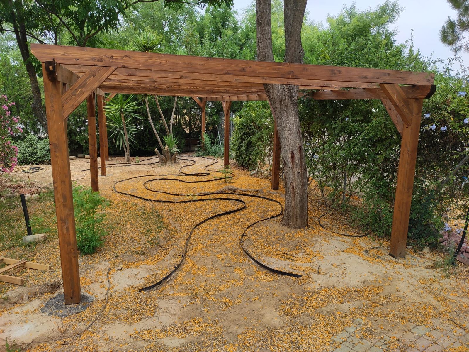 Renaturalización del IES Heliche — detalle 7