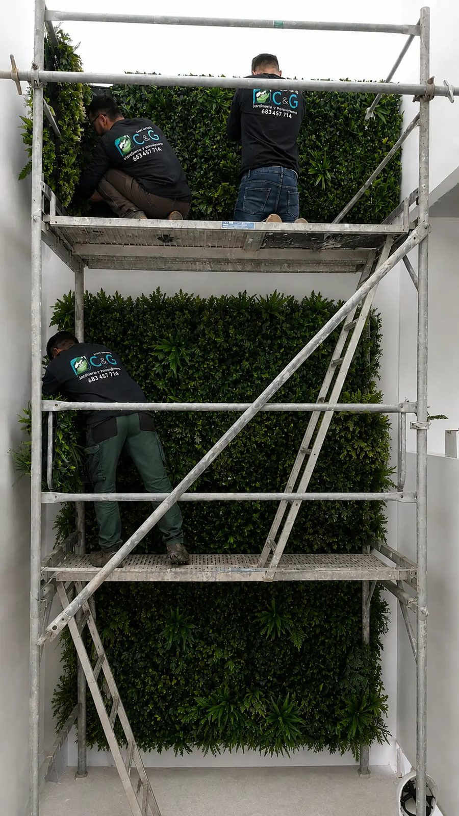 Equipo colaborador instalando un jardín vertical