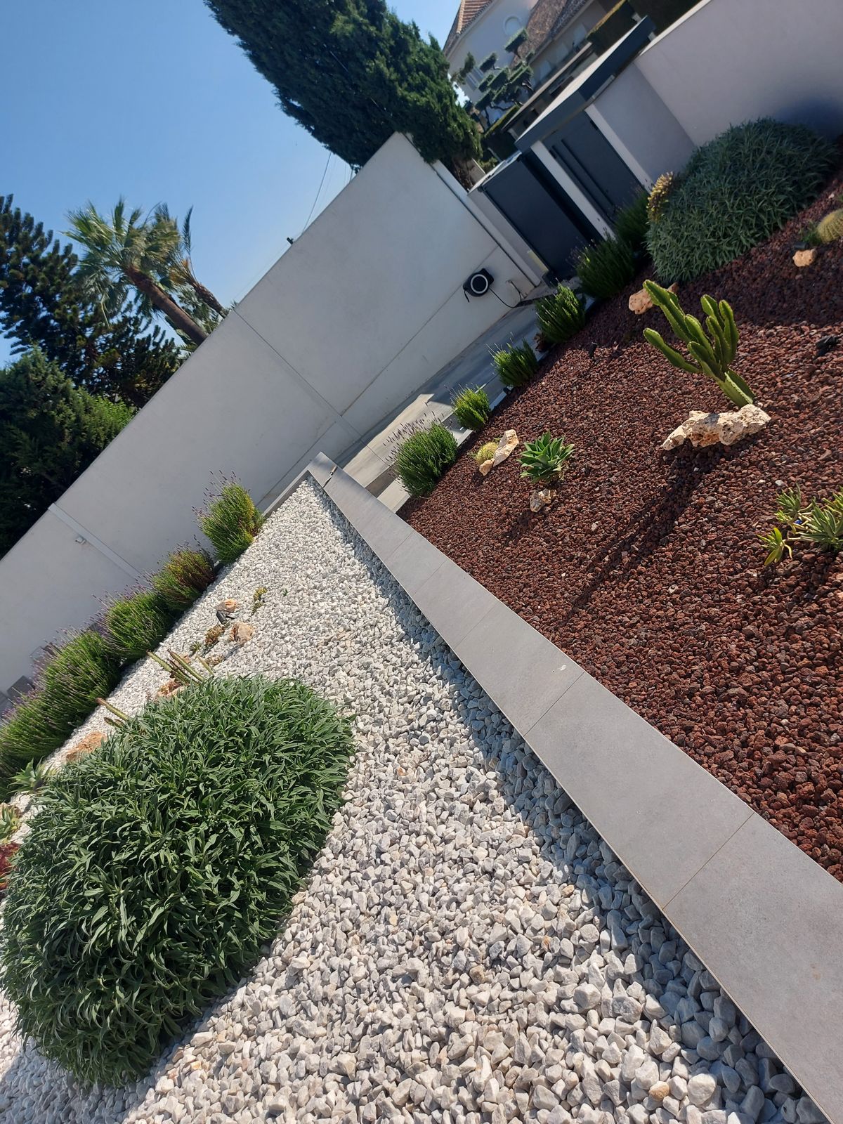 Jardín xerófilo en Tomares — detalle 3