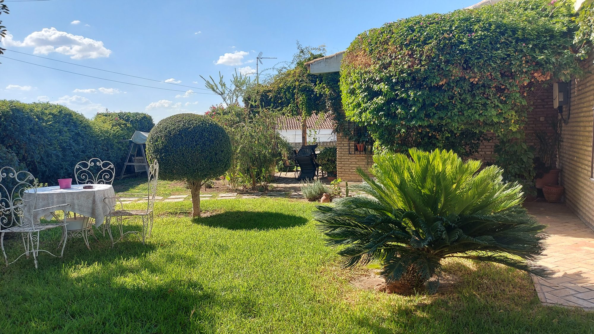 Diseño de jardín comestible en Gines · Gines, Sevilla (imagen 1)