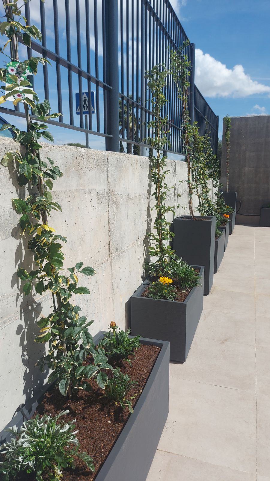 Jardín terapéutico Residencia Reifs — detalle 6