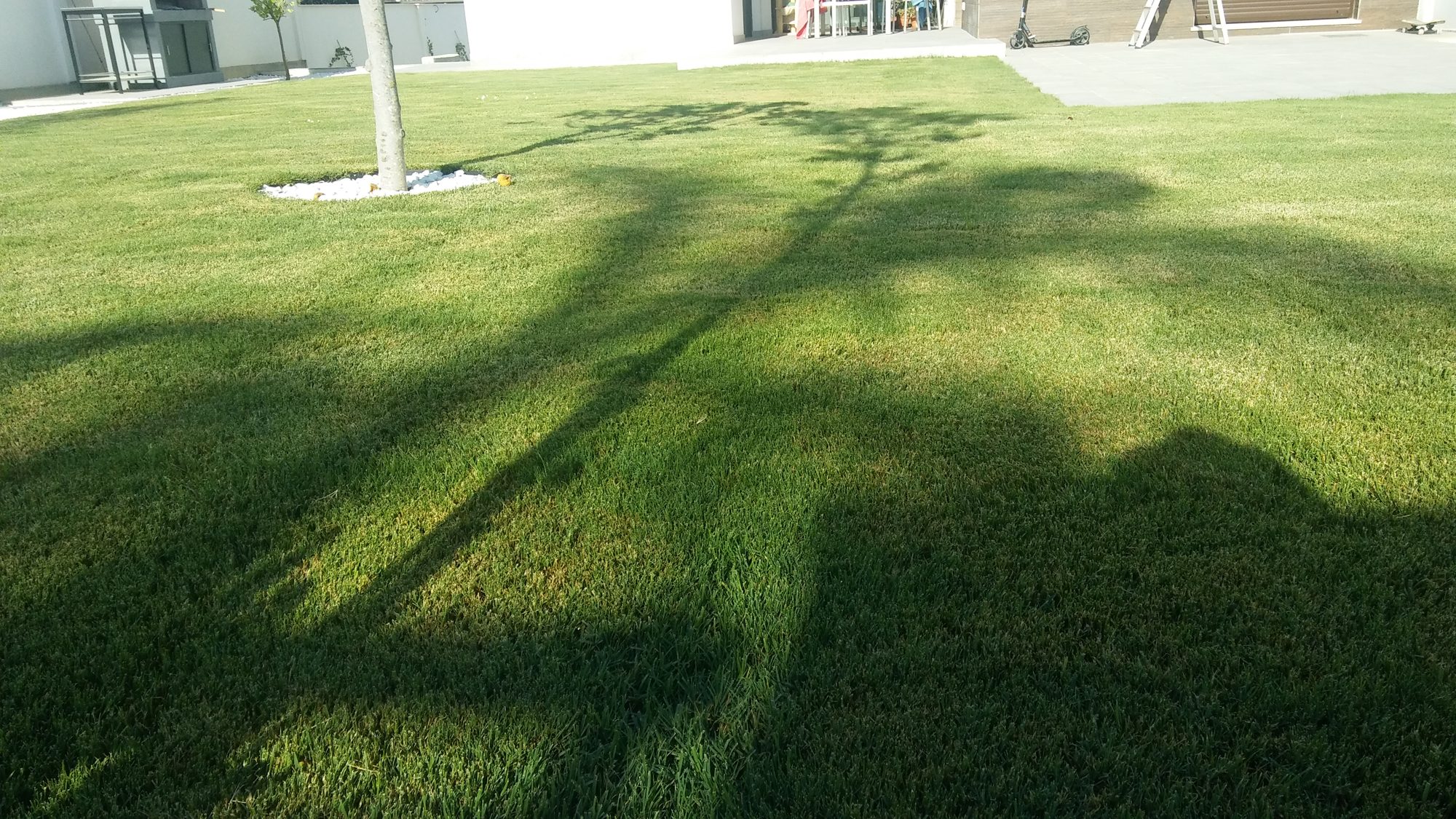 Jardín geométrico en Entrenúcleos — Dos Hermanas, Sevilla · fotografía 2