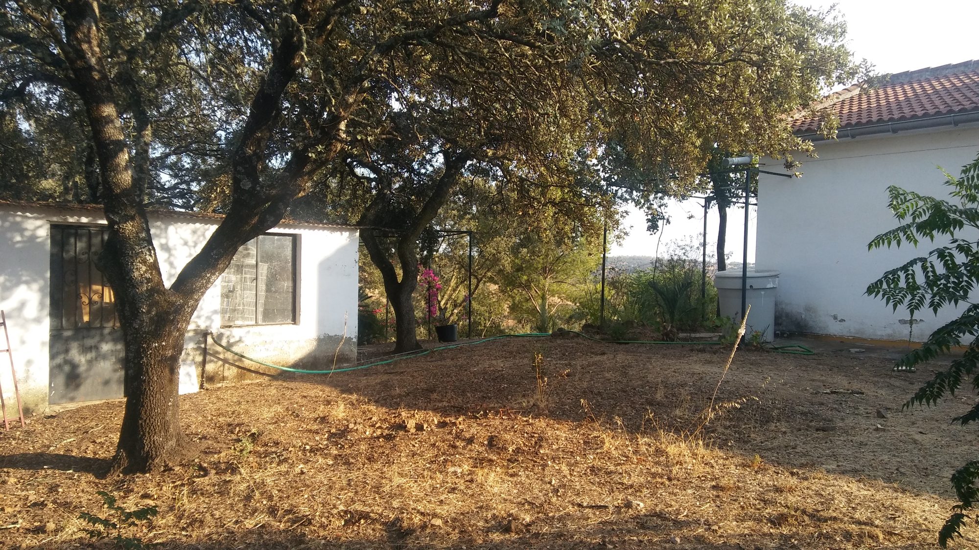 Paisajismo naturalizado en finca junto al embalse de Cala — Castilblanco de los Arroyos, Sevilla · fotografía 2
