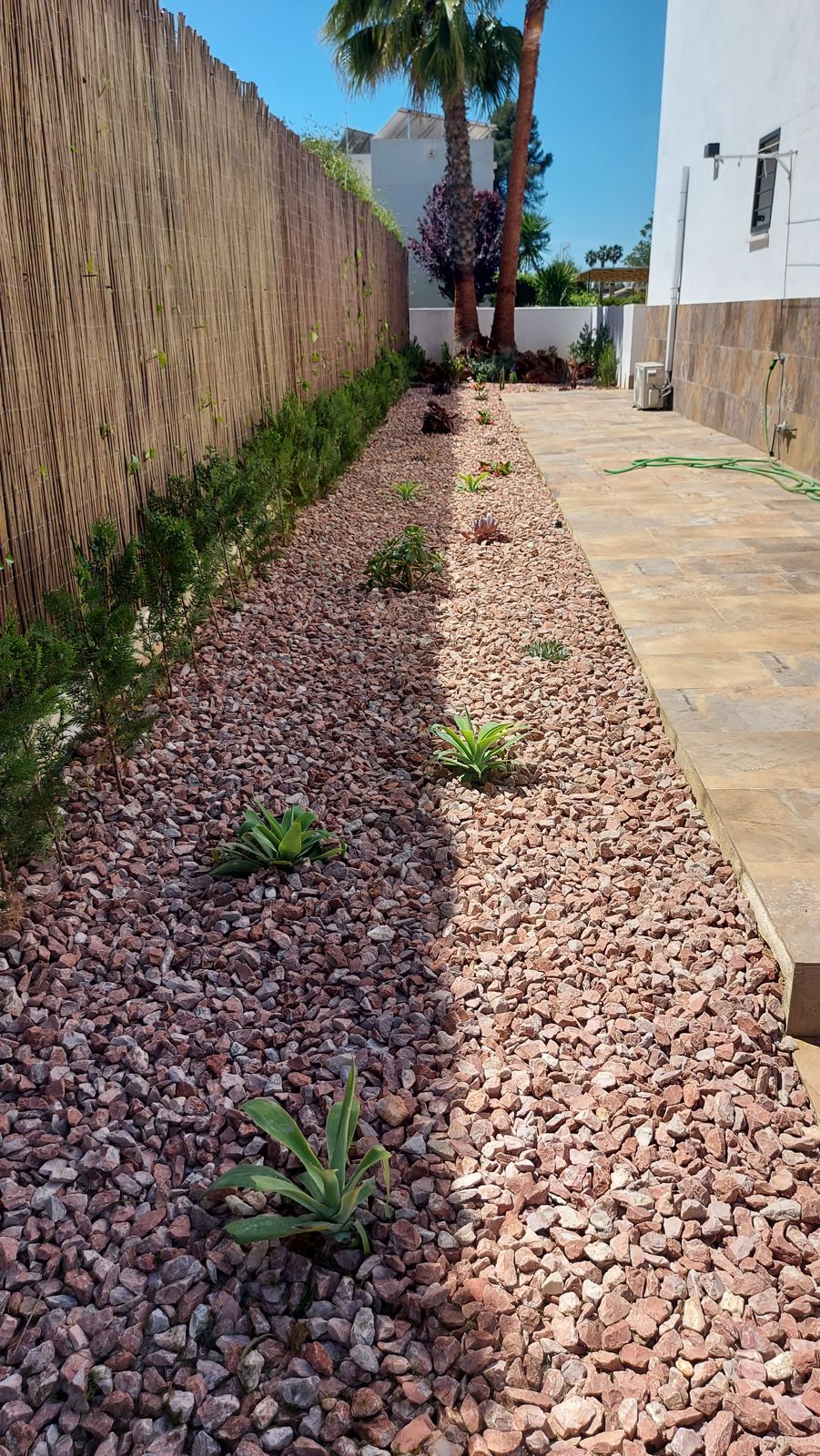 Jardín familiar con plantación naturalista en Espartinas — detalle 8
