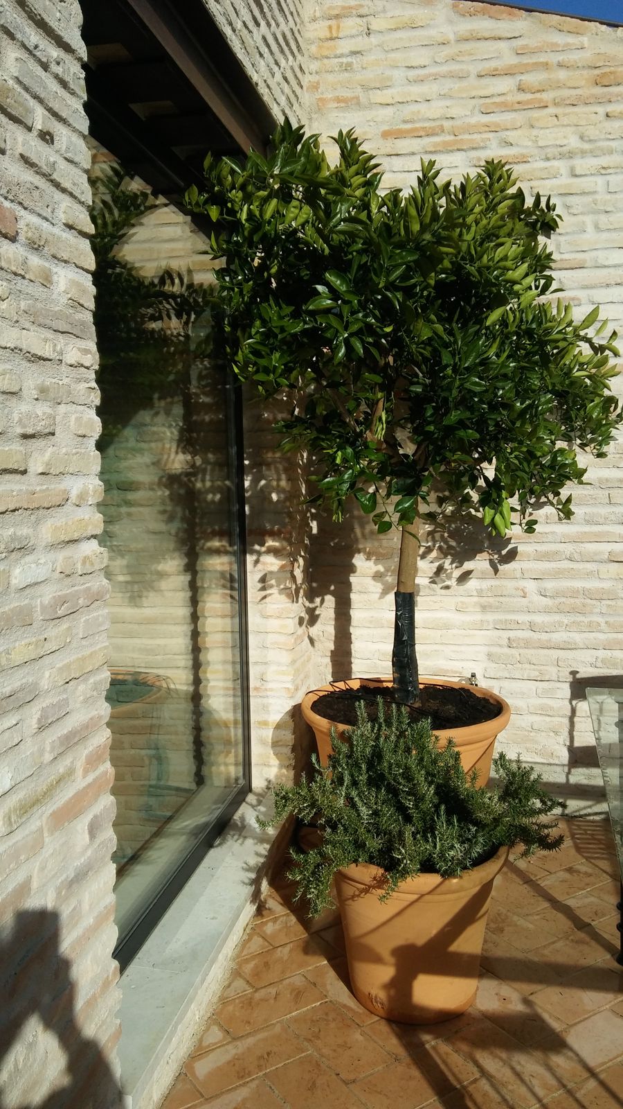 Patio urbano en Abad Gordillo — detalle 4