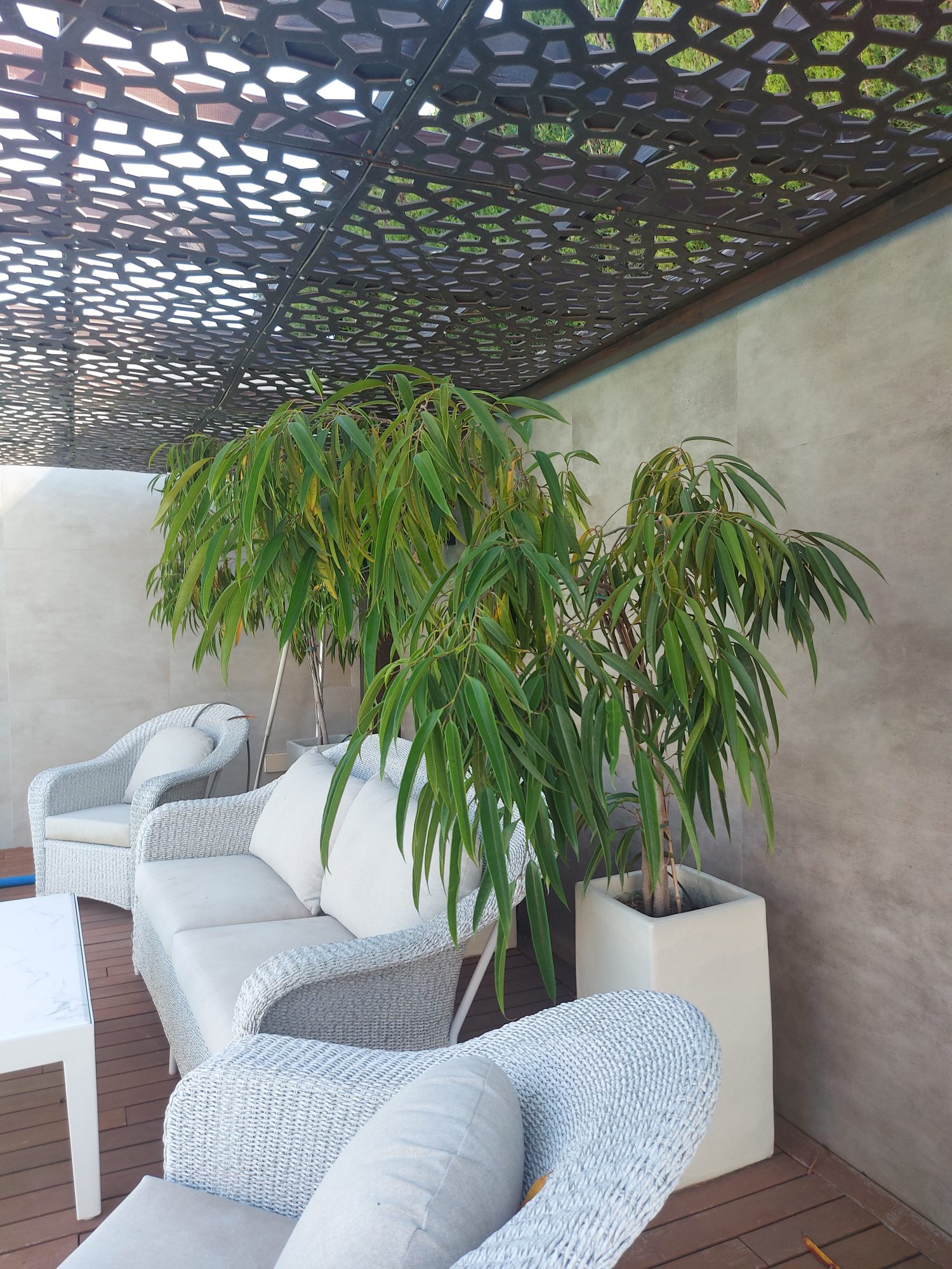Jardín privado de carácter naturalista en el Aljarafe sevillano — Espartinas, Sevilla · fotografía 6