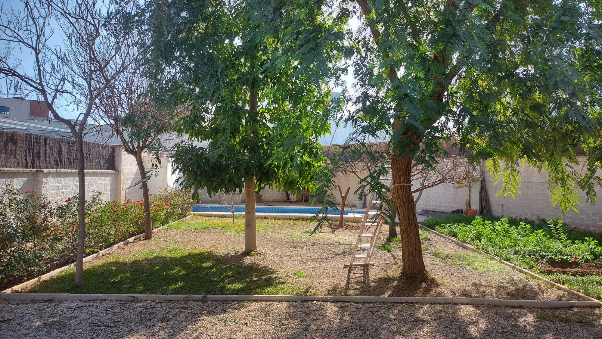 Renovar un jardín consolidado en Dos Hermanas · Dos Hermanas, Sevilla (imagen 3)