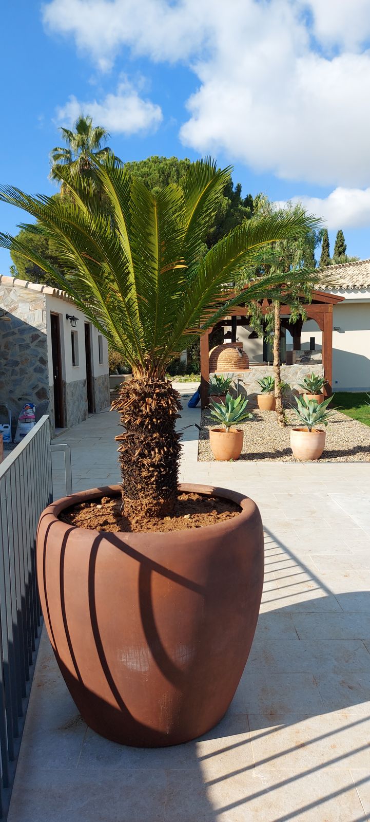 Jardín en los Villares Altos — detalle 2