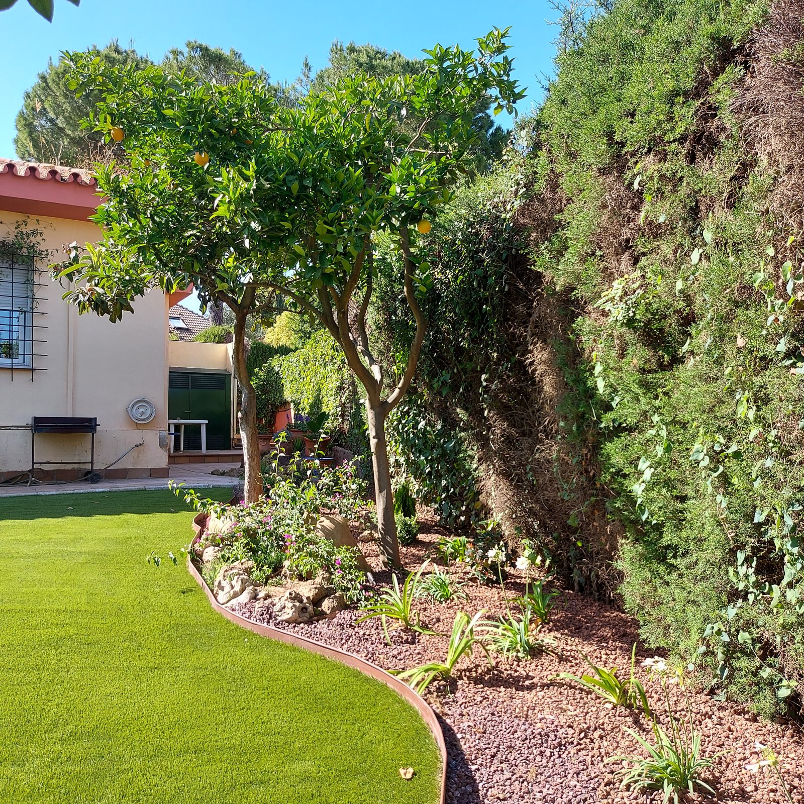 Transformación de jardín particular en Colina Blanca — detalle 4