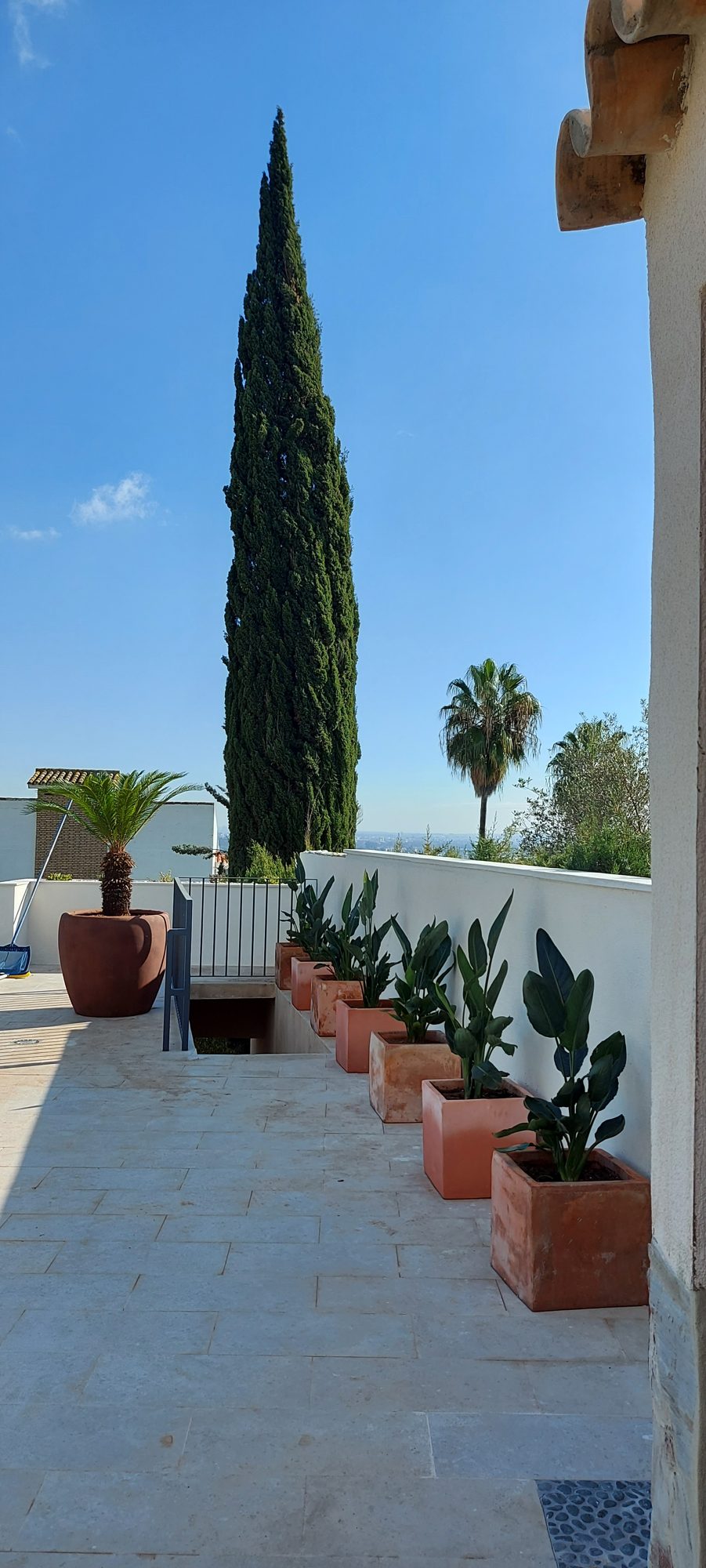 Jardín en los Villares Altos — Tomares, Sevilla · fotografía 1